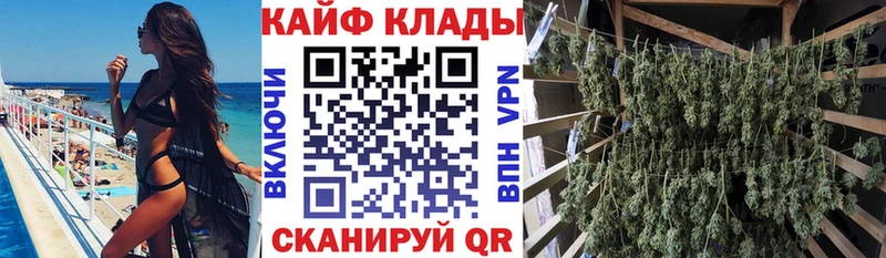 Галлюциногенные грибы Динская