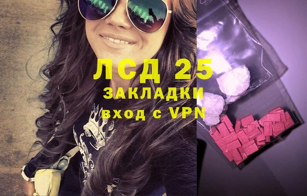 стафф Богданович