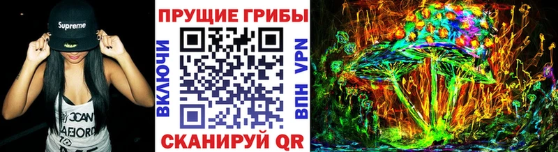 Галлюциногенные грибы Psilocybe Динская